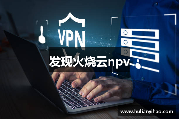 发现火烧云npv